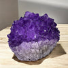 Cupcake - like Amethyst Geode - Tranquilite