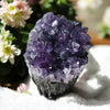 Cupcake - like Violet Amethyst Geode - Tranquilite