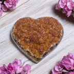 Natural Heart - Shaped Citrine Geode - Tranquilite