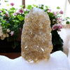 Natural Lemon Citrine Crystal - Tranquilite