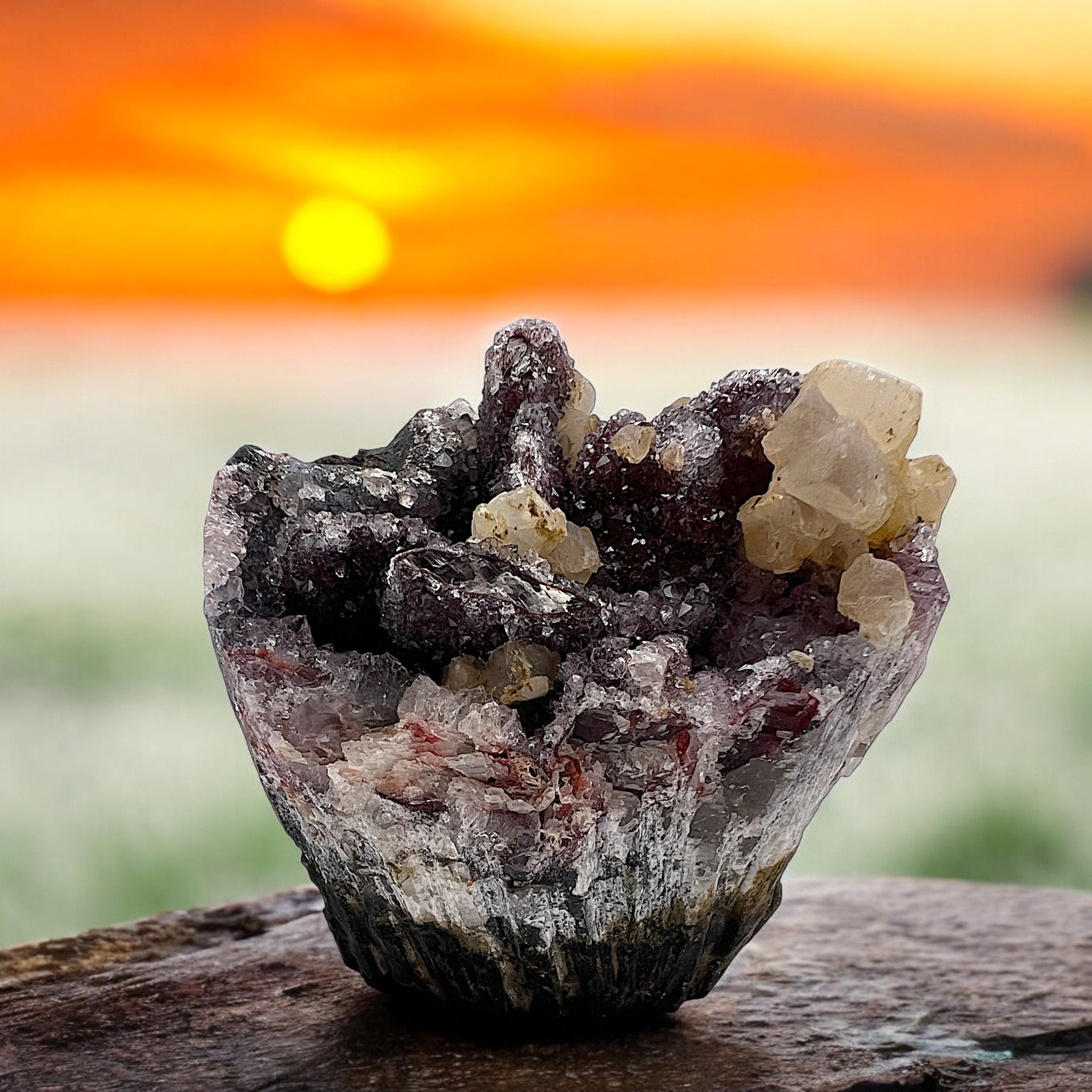 Rainbow Cupcake Geode with Mixed Inclusions and Calcite - Tranquilite